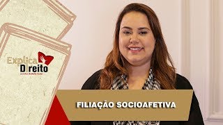 Explica Direito Filiação Socioafetiva  2019 [upl. by Neenaej]